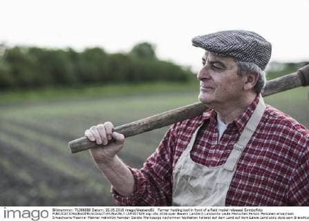 Farmer holding tool in front of a field model released Symbolfoto  UUF007329