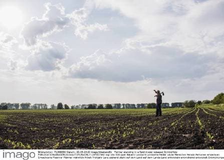 Farmer standing in a field model released Symbolfoto  UUF007342