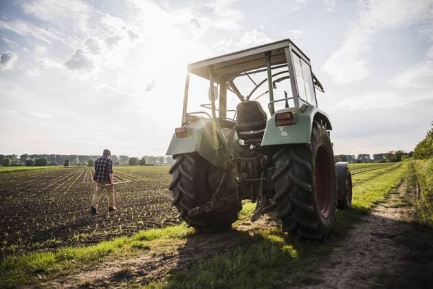 Farmer walking in a field model released Symbolfoto  UUF007355