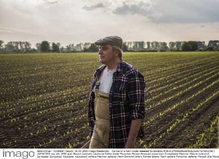 Farmer in a field model released Symbolfoto  UUF007359