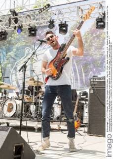 May 29, 2016 - Napa, California, U.S - Bassist MICHAEL GOLDMAN of The Moth & The Flame performs live during BottleRock Napa Valley music festival at Napa Valley Expo in Napa, California Napa U.S. - ZUMAs135