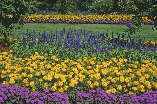 flower garden in Stanley Park Vancouver British Columbia Canada  acp95484 MikexGrandmaison