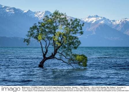 Wanaka --- New Zealand --- 01 11 2015 Wanaka, New Zealand - November 1 , 2015 - General view of the lone tree off shore of Laka Wanaka on November 1, 2015 in Wanaka, New Zealand.