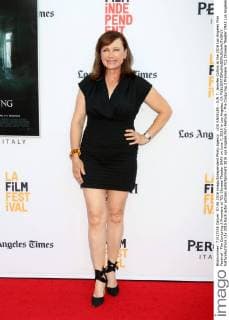 LOS ANGELES - JUN 7: Jennifer Collins at the 2016 Los Angeles Film Festival - The Conjuring 2 Premiere at TCL Chinese Theater IMAX on June 7, 2016 in Los Angeles, CA  KathyxHutchins