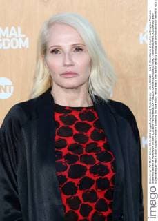 LOS ANGELES - JUN 8: Ellen Barkin at the Animal Kingdom Premiere Screening at the The Rose Room on June 8, 2016 in Venice Beach, CA  KathyxHutchins