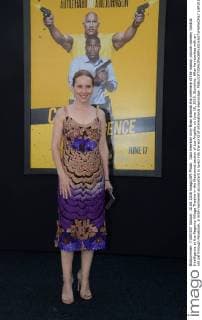 Cast member Amy Ryan attends the premiere of the motion picture comedy Central Intelligence at the Regency Village Theatre in the Westwood section of Los Angeles on June 10, 2016. Storyline: After he reunites with an old pal through Facebook, a mild-mannered accountant is lured into the world of international espionage.  LAP2016061023 JIMxRUYMEN