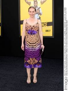 June 10, 2016 - Los Angeles, CA, United States - 10 June 2016 - Los Angeles, California - Amy Ryan. Central Intelligence Los Angeles Premiere held at Westwood Village Theatre. Photo Credit: AdMedia Los Angeles United States - ZUMAa123