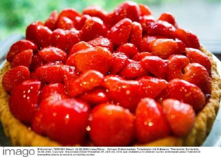 Solingen Erdbeerkuchen, Tortenboden mit Erdbeeren, Themenbild, Symbolbild, 11.06.2016, Copyright: Deutzmann Eibner-Pressefoto EP_CDN