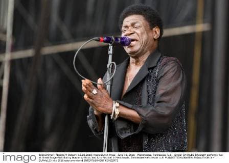 June 12, 2016 - Manchester, Tennessee, U.S - Singer CHARLES BRADLEY performs live at Great Stage Park during Bonnaroo Music and Arts Festival in Manchester, Tennessee Manchester U.S. - ZUMAs135