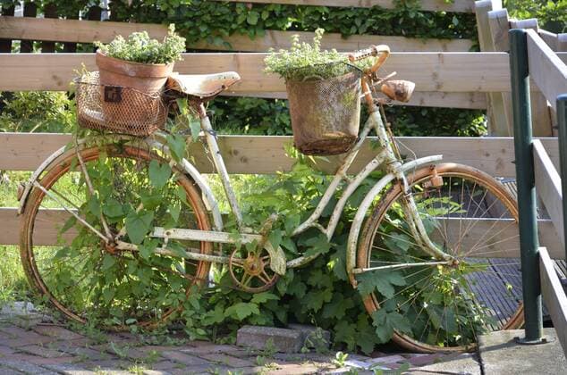 Shabby Chic, bepflanztes Fahrrad im Vintage-Look, Deutschland, Niedersachsen, Greetsiel Shabby Chic, planted bike in Vintage-Look, Germany, Lower Saxony, Greetsiel BLWS428409 Copyright: xblickwinkel D.xMaehrmannx