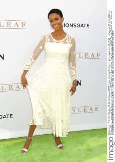 Greeleaf Premiere in Los Angeles June 15, 2016 - Hollywood, CA, United States - 15 June 2016 - Hollywood, California - Kim Hawthorne. OWN Network s Greenleaf Los Angeles Premiere held at The Lot. Photo Credit: Hollywood United States - ZUMAa123