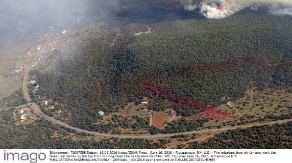 June 16, 2016 - Albuquerque, NM, U.S. - Fire retardant from air tankers mark the trees near homes as the fire from the Dog Head Fire heads towards Chilili ,NM. Thursday June 16, 2016. Albuquerque U.S. - ZUMAab1_