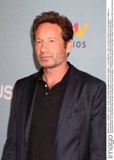 LOS ANGELES - JUN 16: David Duchovny at the Aquarius Season 2 Premiere Screening Arrivals at the Paley Center For Media on June 16, 2016 in Beverly Hills, CA  KathyxHutchins
