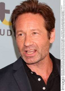 LOS ANGELES - JUN 16: David Duchovny at the Aquarius Season 2 Premiere Screening Arrivals at the Paley Center For Media on June 16, 2016 in Beverly Hills, CA  KathyxHutchins
