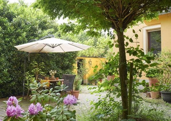 Cozy yard of an one-family house in summer property released  BSCF000531