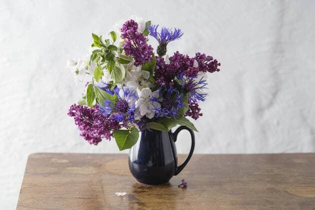 Bunch of spring flowers  MYF001492