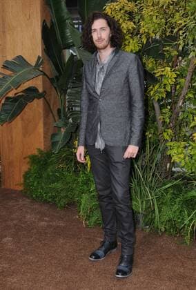 June 27, 2016 - Hollywood, CA, United States - 27 June 2016 - Hollywood. Hozier. Arrivals for the Los Angeles World Premiere of Warner Bros. The Legend of Tarzan held at the Dolby Theater. Photo Credit: Hollywood United States - ZUMAa123