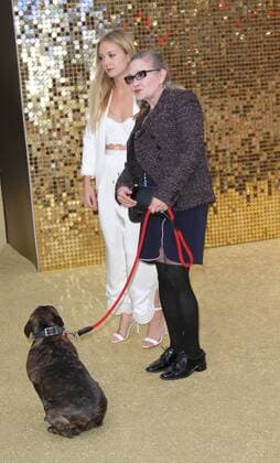 American actress Carrie Fisher and pet dog attending the Absolutely Fabulous world premiere in London s Odeon Cinema, Leicester Square. JUNE 29th 2016  MESx162076