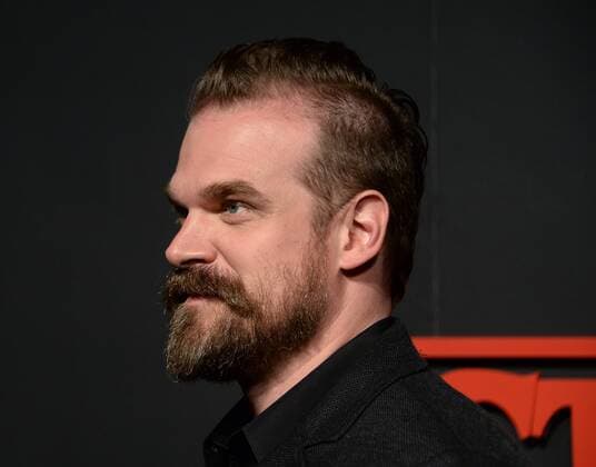Cast member David Harbour attends Netflix s supernatural mystery thriller Stranger Things at Mack Sennett Studios in Los Angeles on July 11, 2016. Storyline: A strange town where everyone knows everyone Is subject to a peculiar incident. The town then undergoes a state of panic, before the government becomes involved.  LAP2016071124 JIMxRUYMEN