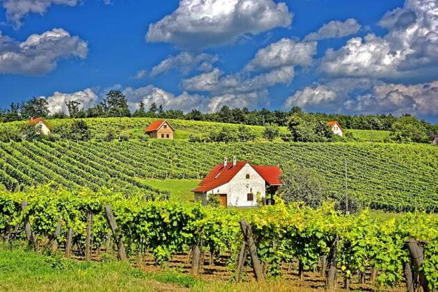 Balaton, Plattensee Weinbaugebiet mit Presshäusern  1033901538