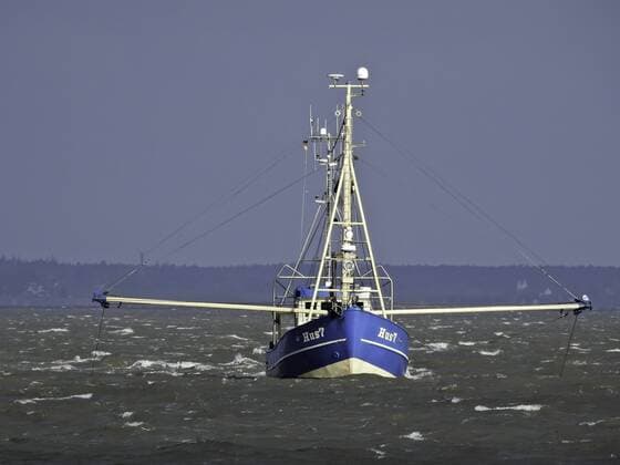 Krabbenkutter im Wattenmeer fishing boat in tidal sea McPMAS McPMAS