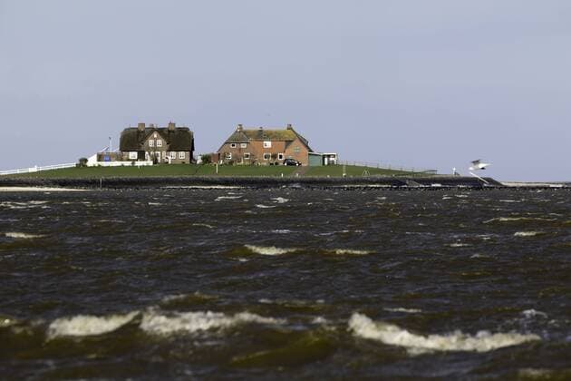 Westerwarft auf Hallig Hooge houses on island Hooge McPMAS McPMAS