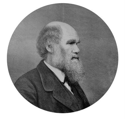 Charles DARWIN - 1809-1882 WorldxHistoryxArchive