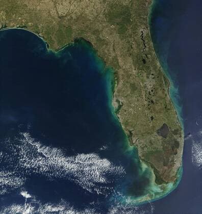In this satellite image, bloom of the toxic alga Karenia brevis is visible along the west coast of Florida. (credit: Jacques Descloitres, NASA) WHA  !ACHTUNG AUFNAHMEDATUM GESCHÄTZT! Copyright: WHA UnitedArchives020747