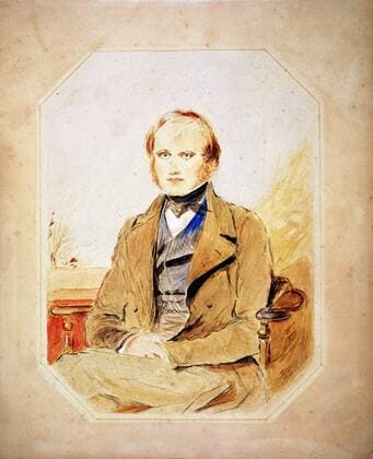 Charles Darwin (1809-82) English naturalist. Evolution by Natural Selection . Watercolour after portrait by George Richmond. WHA  !ACHTUNG AUFNAHMEDATUM GESCHÄTZT! Copyright: WHA UnitedArchives0460000189