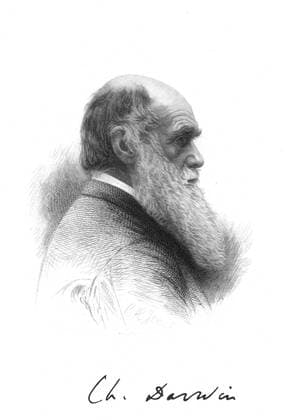 Charles Darwin (1809-1882) English naturalist. A pioneer of theory of Evolution by Natural Selection. Engraving and signature WHA  !ACHTUNG AUFNAHMEDATUM GESCHÄTZT! Copyright: WHA UnitedArchives0460000582