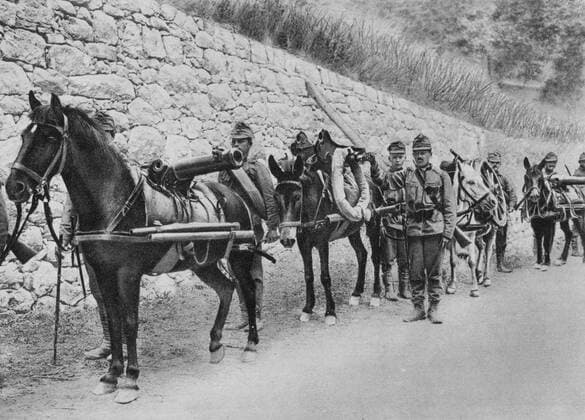 World War I 1914-1918: Austro-Hungarian soldiers with pack horses carrying guns. First Battle of Isonzo, 23 June-7 July 1915, Italian Front. Military, Army, Austria, Italy, Transport, Artillery WHA  !ACHTUNG AUFNAHMEDATUM GESCHÄTZT! Copyright: WHA UnitedArchives0510004653