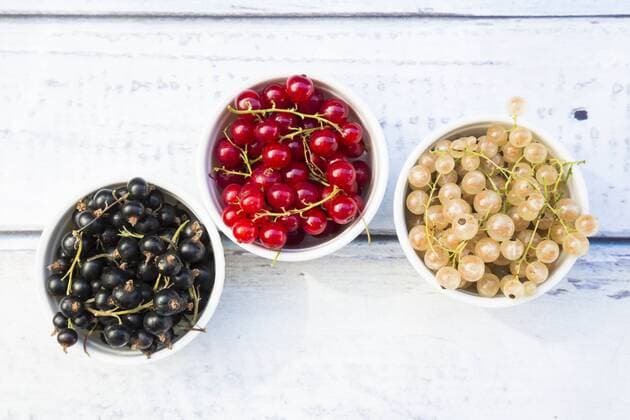 Three bowls of black, red and white currants  LVF005099
