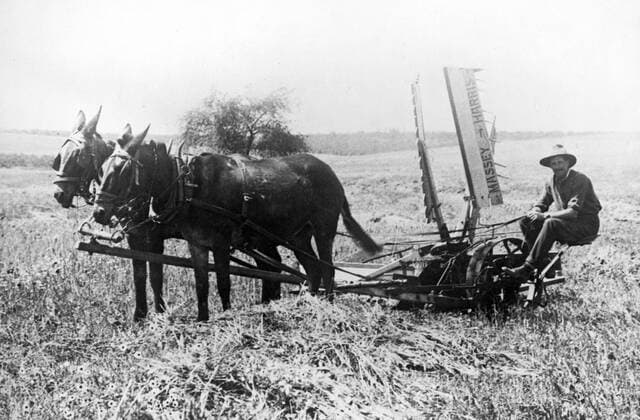 Palestine, (Israel) A Jewish farmer ploughing a field. between 1900 and 1922 Farmer seated on a Massey-Harris mowing machine drawn by two horses. WHA  !ACHTUNG AUFNAHMEDATUM GESCHÄTZT! Copyright: WHA UnitedArchivesWHA_039_0384