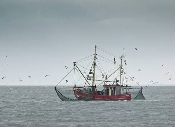 Krabbenkutter im Wattenmeer, Deutschland, Schleswig-Holstein, Nordfriesland, Hallig Hooge fishing boat in tidal sea, Germany, Schleswig-Holstein, Northern Frisia, Hallig Hooge BLWS432867 Copyright: xblickwinkel H.xBaesemannx