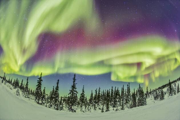 February 21, 2015 - Aurora borealis over Churchill, Manitoba, Canada.  Copyright: AlanxDyer StocktrekxImages ADY200330S