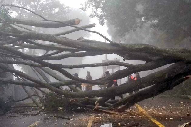 Mexiko: Schweres Unwetter in Xalapa August 6, 2016 - Mexico - EUM20160806ACT10.JPG.XALAPA, Ver., Disaster Desastre-Earl.- Aspectos generales de las afectaciones este sabado, 6 de agosto de 2016, en el municipio de Xalapa a consecuencia de la tormenta tropical Earl, que a su paso por la zona centro de Veracruz dejo un saldo negativo de tres personas muertas, arboles derribados, cortes a la energia electrica, inundaciones y deslaves. Foto: Agencia EL UNIVERSAL EVZ Mexico  - ZUMAu78_