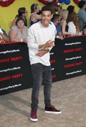 August 9, 2016 - Westwood, CA, United States - 09 August 2016 - Westwood, California - Roshon Fegan. Sausage Party Los Angeles Premiere held at Regency Village Theatre. Photo Credit: Sammi AdMedia Westwood United States - ZUMAa123