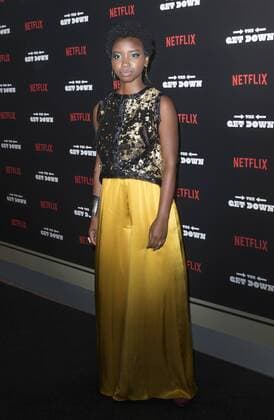 USA: The Get Down premiere in New York Stefanee Martin attends The Get Down Netflix original series premier at Lehman Center for performing arts in the Bronx.  LevxRadin