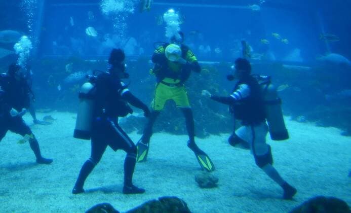 Unterwasser-Fußball in Nanchang, China (160813) -- NANCHANG, Aug. 13, 2016 -- Performers play an underwater football match at an aqua world as to attract more visitors in Nanchang, capital of central China s Jiangxi Province, Aug. 13, 2016. ) (cxy) CHINA-NANCHANG-UNDERWATER-FOOTBALL (CN) ZhouxMi 
