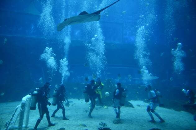 Unterwasser-Fußball in Nanchang, China (160813) -- NANCHANG, Aug. 13, 2016 -- Performers play an underwater football match at an aqua world as to attract more visitors in Nanchang, capital of central China s Jiangxi Province, Aug. 13, 2016. ) (cxy) CHINA-NANCHANG-UNDERWATER-FOOTBALL (CN) ZhouxMi 