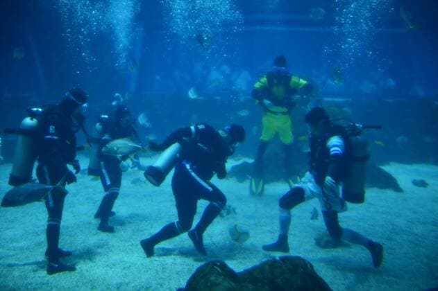 Unterwasser-Fußball in Nanchang, China (160813) -- NANCHANG, Aug. 13, 2016 -- Performers play an underwater football match at an aqua world as to attract more visitors in Nanchang, capital of central China s Jiangxi Province, Aug. 13, 2016. ) (cxy) CHINA-NANCHANG-UNDERWATER-FOOTBALL (CN) ZhouxMi 