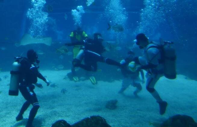 Bilder des Tages Unterwasser-Fußball in Nanchang, China (160813) -- NANCHANG, Aug. 13, 2016 -- Performers play an underwater football match at an aqua world as to attract more visitors in Nanchang, capital of central China s Jiangxi Province, Aug. 13, 2016. ) (cxy) CHINA-NANCHANG-UNDERWATER-FOOTBALL (CN) ZhouxMi 