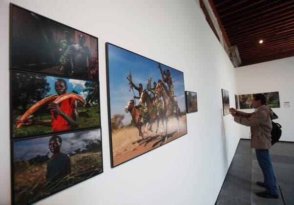 A view of the picture Histories of Nature by South African Brent Stirton during the exhibition World Press Photo 2016 in Mexico City, Mexico, 25 August 2016. The refugees crisis, the explosion in Tianjin, China, and several natural phoenomena arrived in the city through the photographs of the World Press Photo winners, 145 pictures that will be on display at the Franz Mayer Museum. EFE Mario Guzman WORD PRESS PHOTO 2016 IN MEXICO CITY !ACHTUNG: NUR REDAKTIONELLE NUTZUNG!  MEX003 20160825-636077629344037407