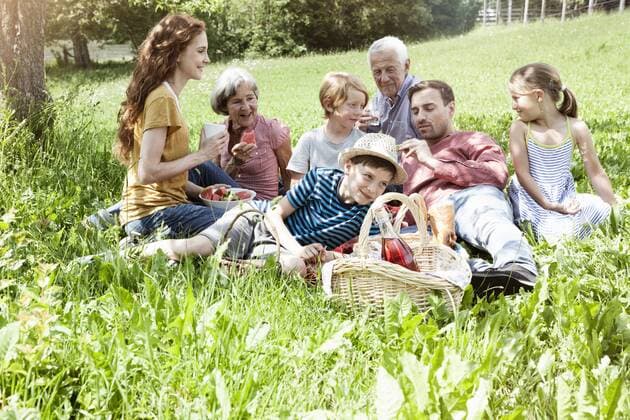 Extended family having a picnic in meadow model released Symbolfoto  RBF004783