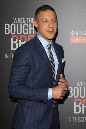 LOS ANGELES - AUG 28: Theo Rossi at the When The Bough Breaks Premiere at the Regal LA Live Stadium 14 on August 28, 2016 in Los Angeles, CA  HPA
