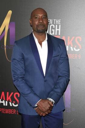 LOS ANGELES - AUG 28: Morris Chestnut at the When The Bough Breaks Premiere at the Regal LA Live Stadium 14 on August 28, 2016 in Los Angeles, CA  HPA