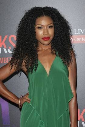 LOS ANGELES - AUG 28: Gabrielle Dennis at the When The Bough Breaks Premiere at the Regal LA Live Stadium 14 on August 28, 2016 in Los Angeles, CA  HPA