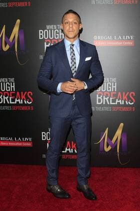 LOS ANGELES - AUG 28: Theo Rossi at the When The Bough Breaks Premiere at the Regal LA Live Stadium 14 on August 28, 2016 in Los Angeles, CA  HPA