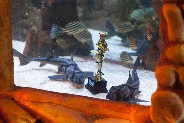 Port Jackson Stierkopfhai - Siegerehrung zu Deutschland sucht den Superfisch im SEA LIFE Berlin am 29.08.2016. Zehn Wochen lang hat das SEA LIFE Berlin die Besucher befragt, wer ihr Lieblingsbewohner des Aquariums ist. Deutschland sucht den Superfisch