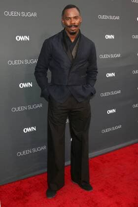 LOS ANGELES - AUG 29: Colman Domingo at the Premiere Of OWN s Queen Sugar at the Warner Brothers Studios on August 29, 2016 in Burbank, CA  KathyxHutchins